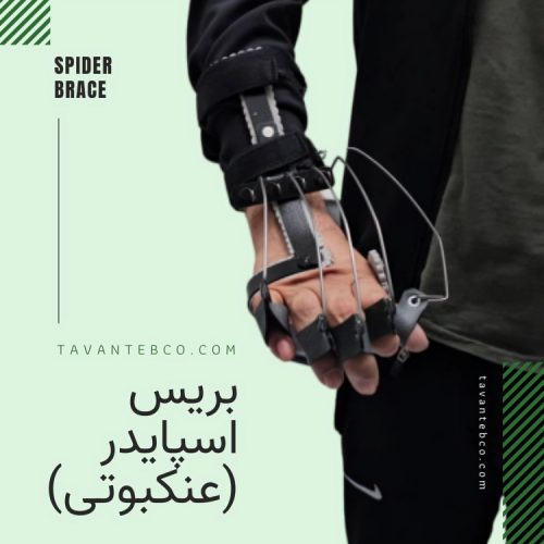 بریس اسپایدر (عنکبوتی)